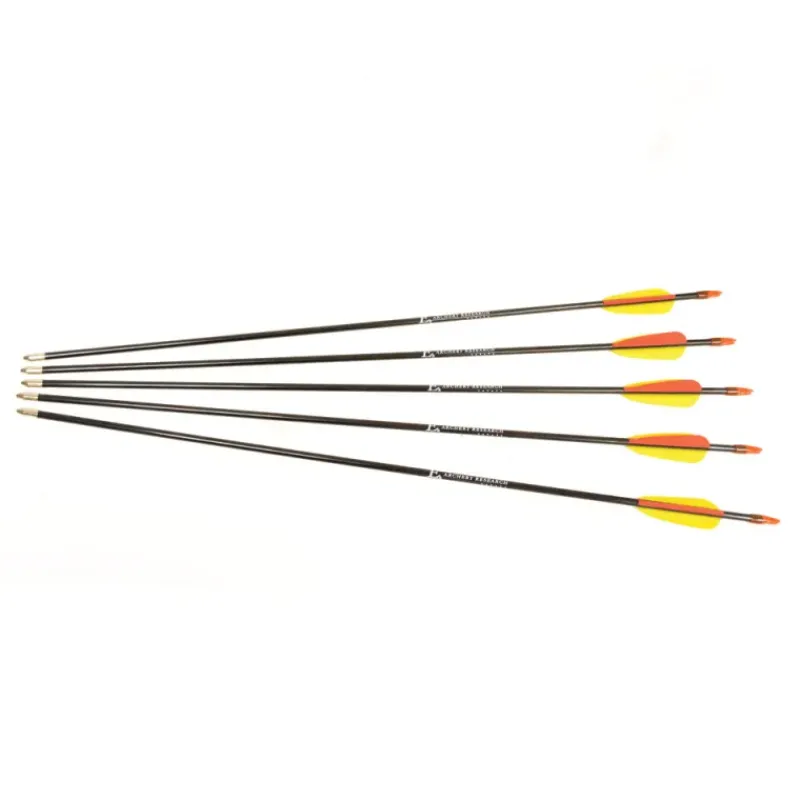5 flèches 26" pour tous types d'arcs fibre de verre HQ 68cm* Outlet