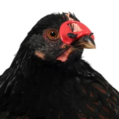 100 lunettes anti-piquage grand modèle* Clearance