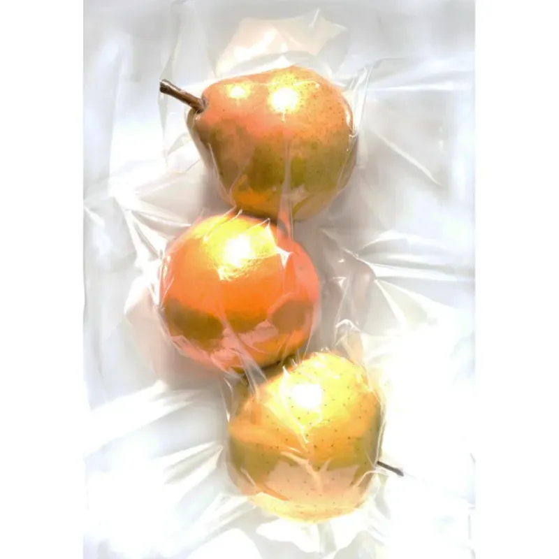 50 Sachets sous vide alimentaires 20 x 30 cm*Le Pratique Outlet