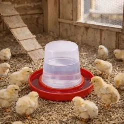 Abreuvoir 350 ml pour poussins compatible cages*Cimuka Clearance