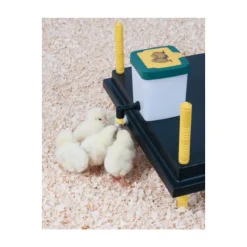 Abreuvoir à pipette poussins et cailles 1 L accroche cage*Olba Clearance