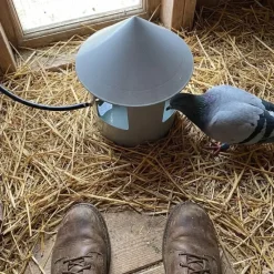 Abreuvoir automatique à grit pour pigeon Diam. 22* Discount