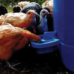 Abreuvoir Automatique Maxi Cup*