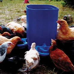 Abreuvoir Automatique Maxi Cup*