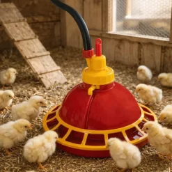 Abreuvoir automatique poussins/cailles à suspendre*Olba New