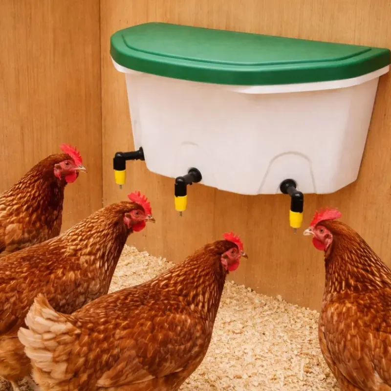 Abreuvoir fixation murale AviAqua 8L + 3 pipettes*Olba New