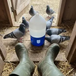 Abreuvoir pigeons siphoïde à poignée 5 L*
