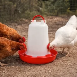 Abreuvoir plastique poule 1,5 L premium robuste avec poignée*Olba New