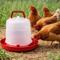 Abreuvoir plastique poule premium robuste avec poignée 10 L*River Systems Best