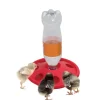 Abreuvoir porte bouteille pour poussins et cailles Diamètre 24 cm*Olba Best