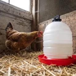 Abreuvoir poules et volailles 15 L River System*River Systems Discount