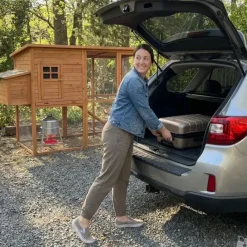 Abreuvoir poules et volailles métal galvanisé 30 L sur pieds à l'unité* Discount