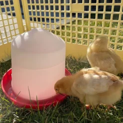 Abreuvoir siphoïde 10 L plastique*River Systems Best