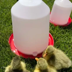 Abreuvoir siphoïde 10 L plastique*River Systems Best