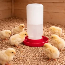 Abreuvoir siphoïde poussins et cailles 1 L fermeture à vis*Olba New