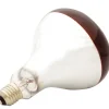Ampoule chauffante infrarouge 250 W* Best