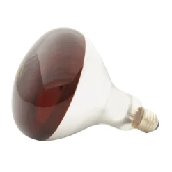 Ampoule infrarouge pour éleveuse 100 W* Outlet