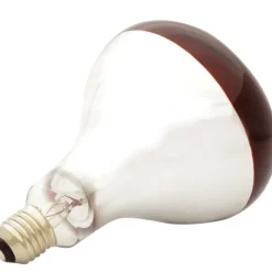 Ampoule infrarouge pour éleveuse 100 W* Outlet