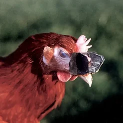 Antipicage Speed-lune par lot de 100* Hot