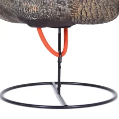 Appelant colvert femelle mangeur sur pied en acier* Best