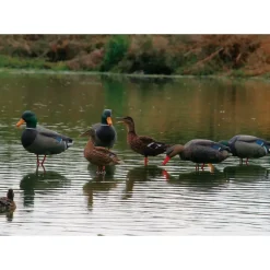 Appelant colvert femelle mangeur sur pied en acier* Best