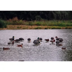 Appelant colvert femelle mangeur sur pied en acier* Best