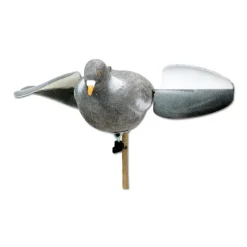 Appelant pigeon floqué à ailes tournantes* Sale