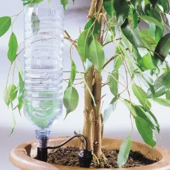 Arrosage goutte à goutte bouteille*Iriso Outlet