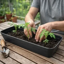 Bac à Semis Professionnel 53x23x20 cm - Idéal pour Démarrage des Cultures*