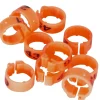 Bagues Spécial Pigeon Marquage Laser Indélébile numérotées 1-25 Orange*