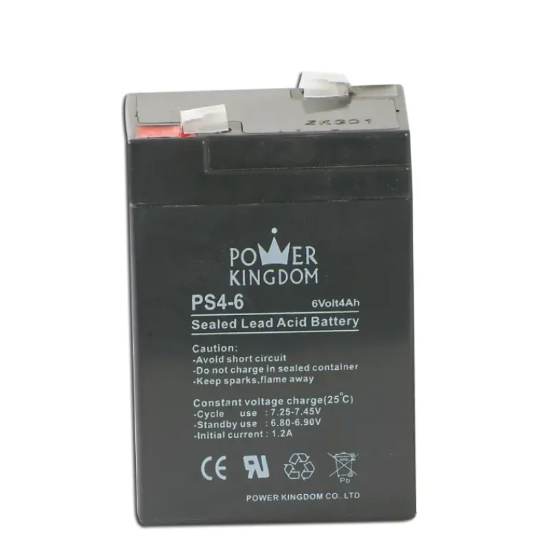 Batterie 6 volts / 4 Ah* Online