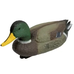 Blette de Colvert male ultra réaliste en plastique*