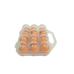 Boite à oeuf plastique 12 oeufs par lot de 3* Outlet