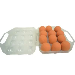 Boite à oeuf plastique 12 oeufs par lot de 3* Outlet