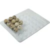 Boites à oeufs de caille plastique 18 oeufs lot de 125* Sale