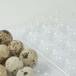 Boites à oeufs de caille plastique 18 oeufs lot de 125* Sale