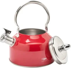 Bouilloire à sifflet 2,5L induction tous feux épaisseur 0,35mm*Pradel France New