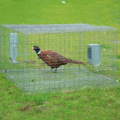 Cage de pré-lâcher galvanisée thermolaquée vert* Outlet