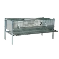 Cage en maille galvanisée pour cailles pondeuses (mini)* Outlet