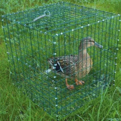 Cage pour chanteuse pliable 30x30x30cm à l'unité* Clearance