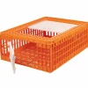 Cage transport démontable volatiles et rongeurs 77x58x29cm* Outlet