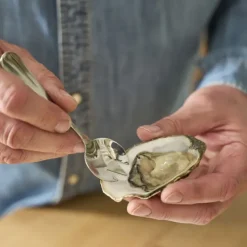 Cale-Huîtres*Pradel France