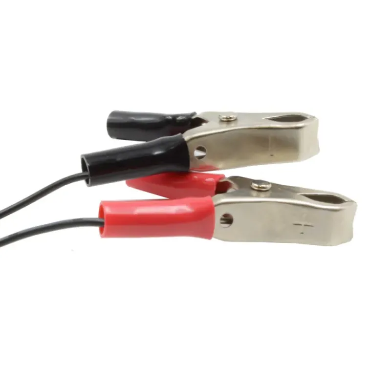 Chargeur de batterie 6V/12V* Online