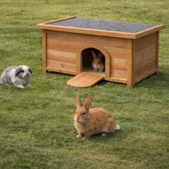 Clapier en bois d'épicéa pour lapin - 60x40x40 cm - Naturel* Best