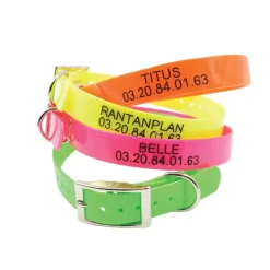 Collier à graver dans la masse BIOGOLD 60X2,5 cm 4 couleurs ajustable* Online