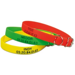 Collier à graver dans la masse PVC 60 X 2,5cm 3 couleurs ajustable*