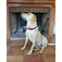 Collier à graver sur plaque laiton cuir noisette 4 tailles* Online