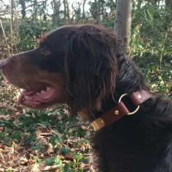 Collier à graver sur plaque laiton cuir noisette 4 tailles* Online