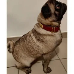 Collier à graver sur plaque laiton cuir noisette 4 tailles* Online