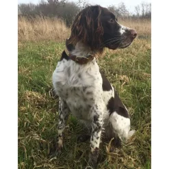 Collier à graver sur plaque laiton cuir noisette 4 tailles* Online